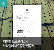 채취한 프로폴리스와 브라질에서 인증한 인증서